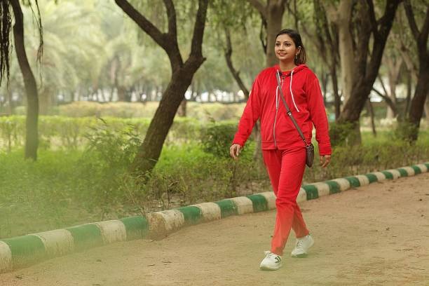 The Art of Miniature Gardening: A Focus on Succulent Fertilizer